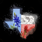 Texas PNG